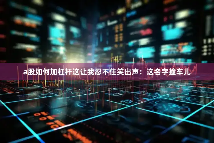 a股如何加杠杆这让我忍不住笑出声：这名字撞车儿