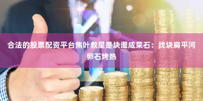合法的股票配资平台焦叶救星是块湿咸菜石：找块扁平河卵石烤热