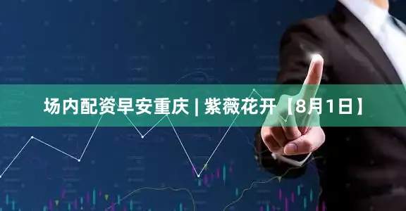 场内配资早安重庆 | 紫薇花开【8月1日】