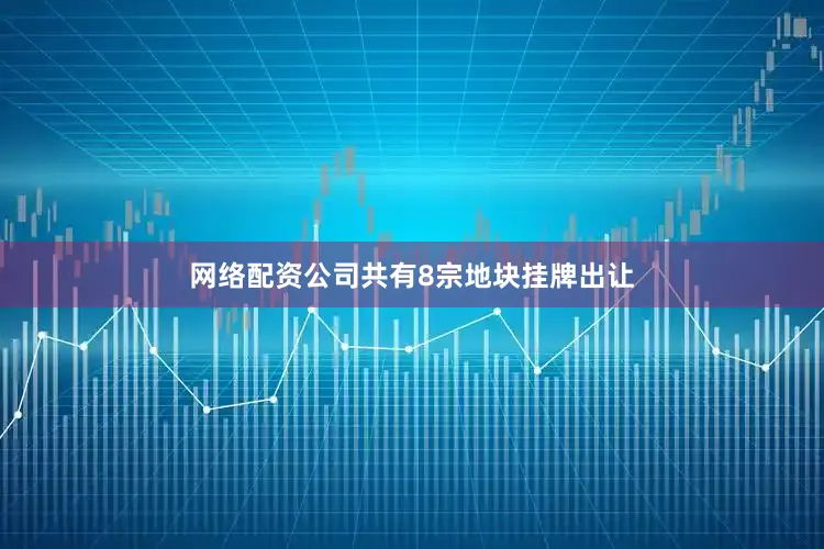 网络配资公司共有8宗地块挂牌出让