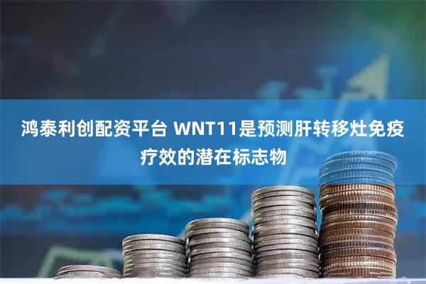 鸿泰利创配资平台 WNT11是预测肝转移灶免疫疗效的潜在标志物